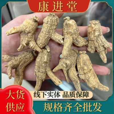 西洋参正宗美帼花旗参精选丛精修圆个美种洋参威斯康州