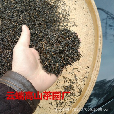 福建小种红茶蜜香金骏眉 银骏眉散装 带黄牙红茶厂家批发 直供