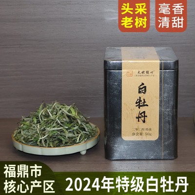 2024年新茶福鼎白茶特级白牡丹散茶太姥山脉核心产区茶叶批发50克