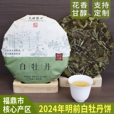 2024年新茶福鼎白茶白牡丹饼明前春茶花香甘醇茶叶源头实力批发