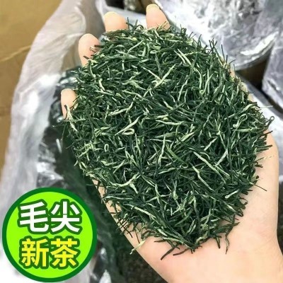 2024年新茶毛尖茶叶浓香栗香散装500g炒青绿茶茶叶厂家直销批发