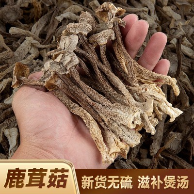 鹿茸菇干货500g特级鹿茸菌云南食用菌香菇脆脆菇煲汤食材产地直销